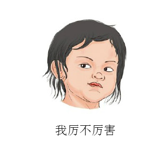 织梦教程